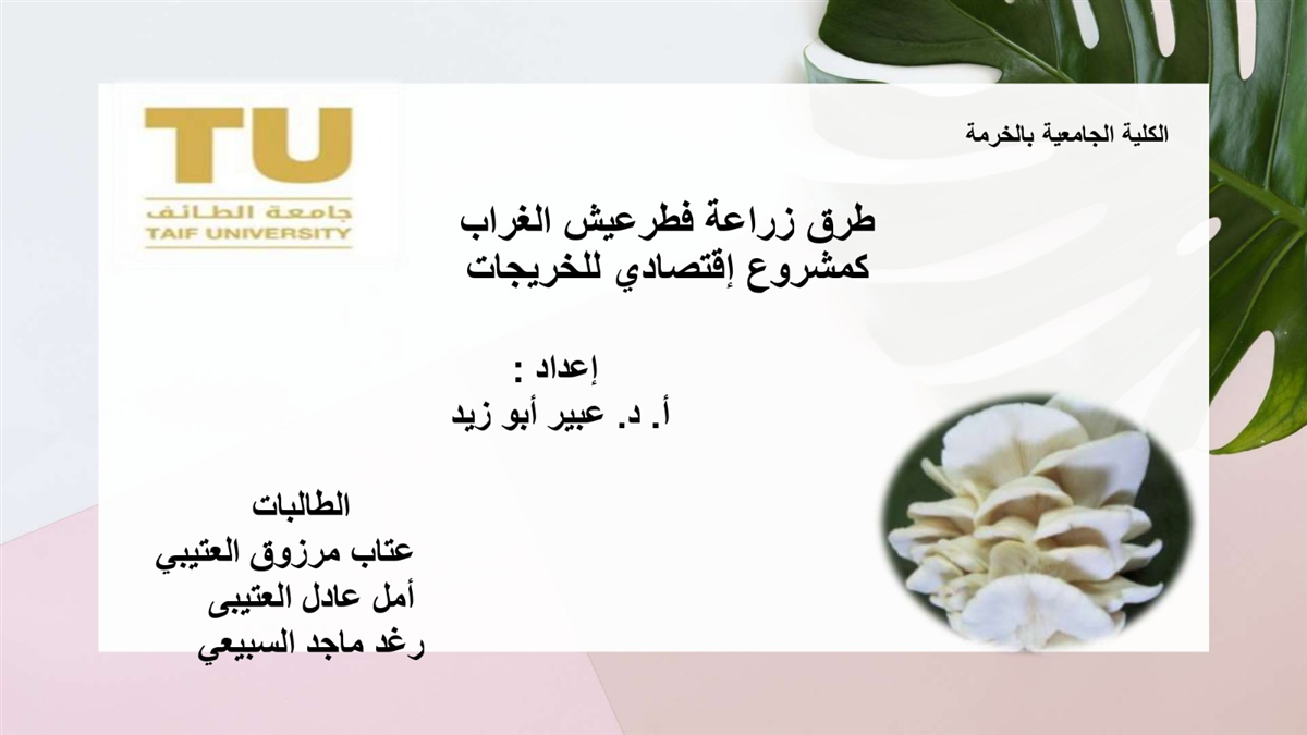 Cultivation of mushrooms as an economic project for female graduates